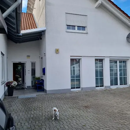 Viktoria Apartment